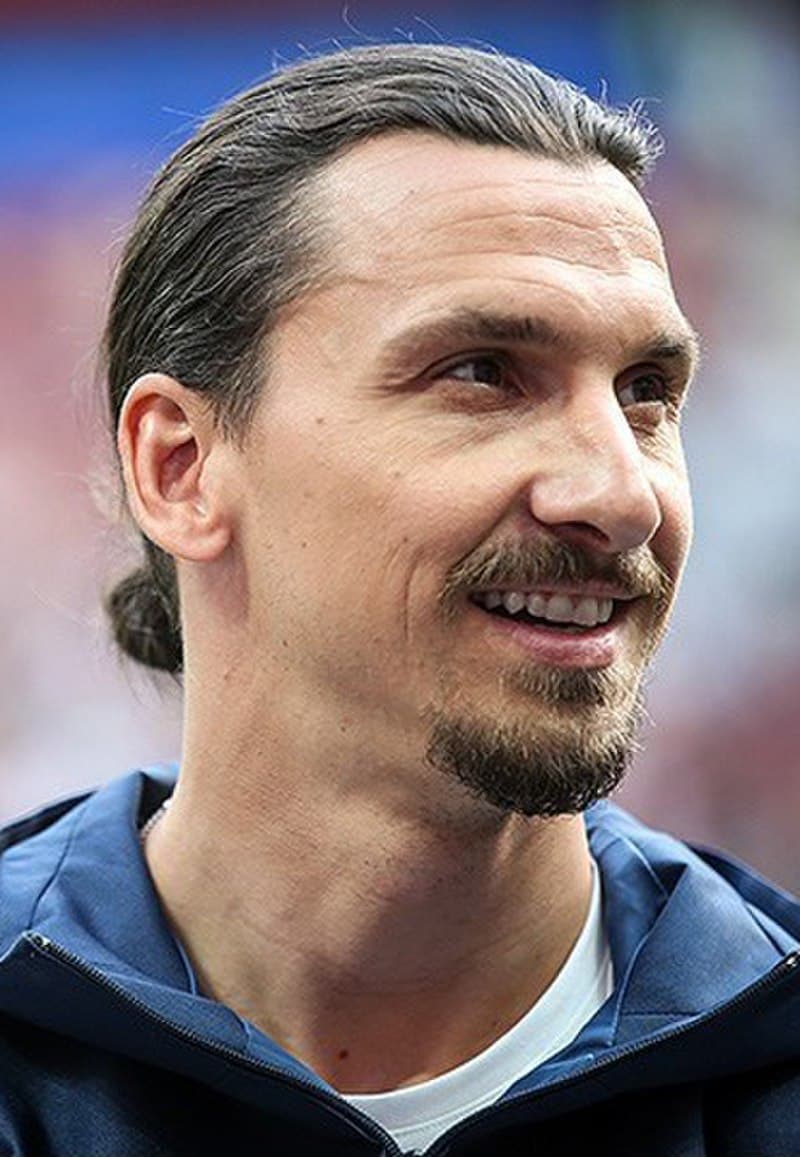 Zlatans söner – Maximilian och Vincent Ibrahimović